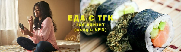 гашик Ельня