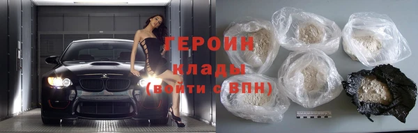 гашик Ельня