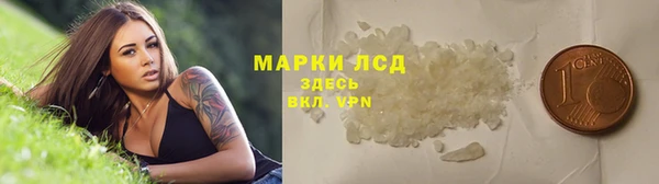 гашик Ельня