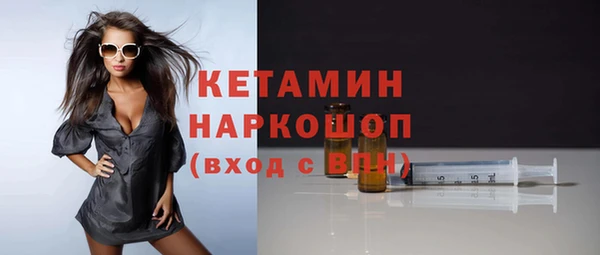 гашик Ельня